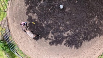 Episode 4: Haltering & Depth of Understanding | Anxious Filly | Groundwork Guys