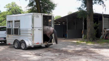 Episode 7: Working at the Trailer | Anxious Filly | Groundwork Guys