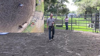 Episode 3: Working Towards Haltering | Anxious Filly | Groundwork Guys