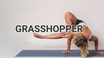 Grasshopper