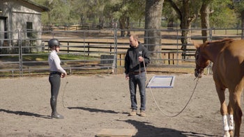 Case Study 2 | Part 1: Megan & Phoenix