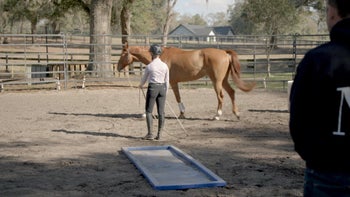 Case Study 2 | Part 5: Megan & Phoenix