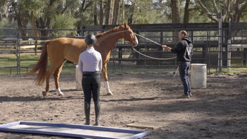 Case Study 2 | Part 4: Megan & Phoenix