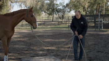 Case Study 2 | Part 7: Megan & Phoenix