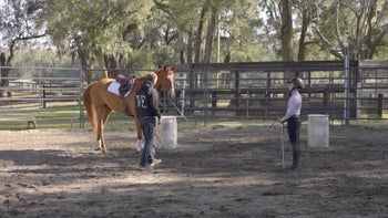 Case Study 2 | Part 6: Megan & Phoenix