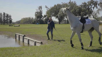 Case Study 3 | Part 2: Megan & OTTB Mare