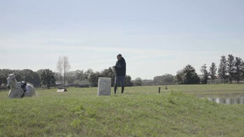 Case Study 3 | Part 1: Megan & OTTB Mare