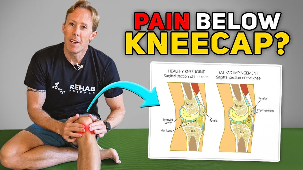 Hoffa’s Fat Pad Impingement: The Best Exercises to Reduce Anterior Knee ...