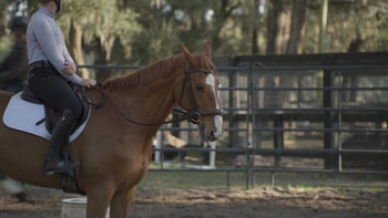 Case Study 2 | Part 8: Megan & Phoenix