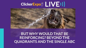 But Why Would That be Reinforcing? Beyond the Quadrants and the Single ABC