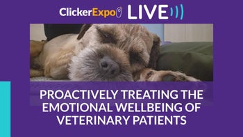Proactively Treating the Emotional Wellbeing of Veterinary Patients