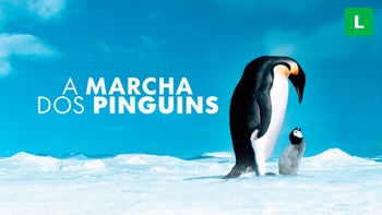 A Marcha dos Pinguins