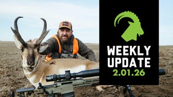 Weekly Update 2.01.26