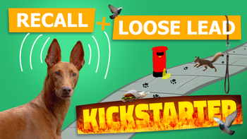 Kickstarter: Get training and Understanding these 2 very common issues