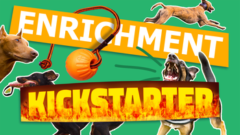 Kickstarter: Getting the dog started with some challenges