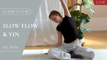 LIVE Do, 26.02.2026 | 19:30 Uhr |  Slow Flow & Yin Yoga | 60 Min