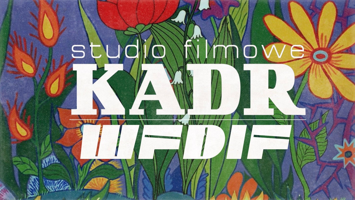 The Short Films of WFDiF - Studio Filmowe Kadr