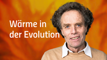 ✪ Wechselwarme Tiere in der Evolution