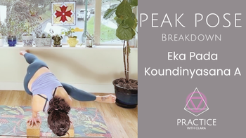 Peak Pose Breakdown - Eka Pada Koundinyasana A (7-mins)