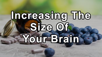 We Are Doing Multiple Things That Shrink Our Brain