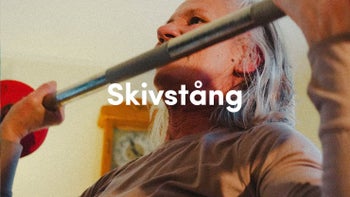 Skivstång