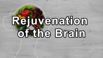 Rejuvenation of the Brain: Achieving Strength and Vitality at Any Age - Gabriel Cousens, MD, MD(H), DD