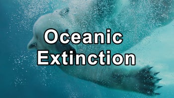 The Precipice of Oceanic Extinction: An Urgent Call for Change - Captain Paul Watson