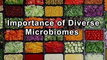 The Importance of Diverse Microbiomes - David Montgomery and Anne Biklé