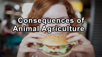 Glen Merzer: The Consequences of Animal Agriculture on Our Planet - Glen Merzer