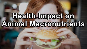 Challenging the Myth: The Health Impact of Animal-Based Macronutrients - Glen Merzer