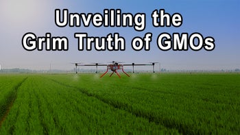 Unveiling the Grim Truth of GMOs and Glyphosate: An Urgent Call to Action