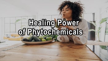 Harnessing the Healing Power of Phytochemicals and Mindfulness - Brian Clement, Ph.D., L.N