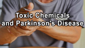 The Dire Need for a Healthier, Cleaner Environment: Unveiling the Links between Toxic Chemicals and Parkinson's Disease - Ray Dorsey, M.D.