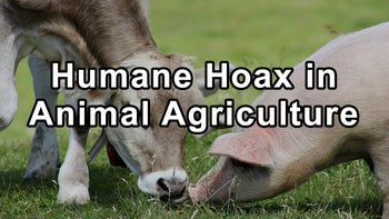 Unveiling the Humane Hoax in Animal Agriculture - Hope Bohanec