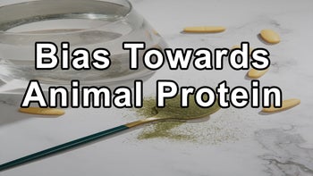 The Cultural Bias Towards Animal Protein - Brenda Davis, R.D.