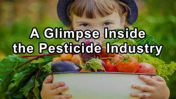 The Relentless Battle Against Corporate Intimidation: A Glimpse Inside the Pesticide Industry - Stacy Malkan