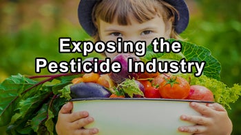 Exposing the Pesticide Industry: Unveiling the Manipulative Tactics of Corporate Giants - Stacy Malkan