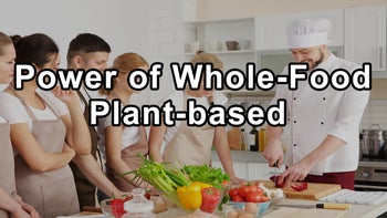 Questions and Answers with China Study Author T. Colin Campbell - Part 1 - T. Colin Campbell, Ph.D.