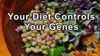 Your Diet Controls Your Genes: Unveiling the Toxic Impact of Modern Diets on Health - Joel Fuhrman, M.D.