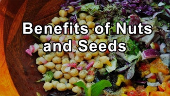 Harnessing the Protective Benefits of Nuts and Seeds in Weight Loss and Heart Health - Joel Fuhrman, M.D.
