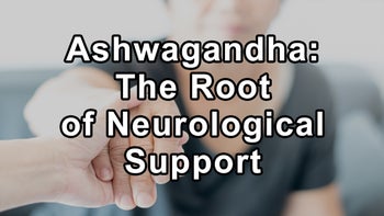 Steve Blake on Ashwagandha: The Root of Stamina and Neurological Support - Steve Blake