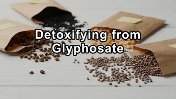 Jeffrey M. Smith on Detoxifying from Glyphosate and the Impact of GMOs - Jeffrey M. Smith
