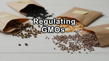 Combating the Release of Genetically Engineered Microbes and Advocating for Responsible Regulation on GMOs Globally, and the Clean 15 and the Dirty Dozen Food List - Jeffrey M. Smith