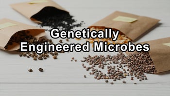 The Dangers of Genetically Engineered Microbes: A Warning from - Jeffrey M. Smith
