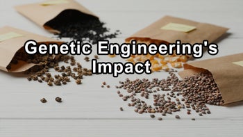 Potential Risks of Genetic Engineering on Microbiomes - Jeffrey M. Smith