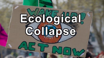The Sixth Mass Extinction, Decrease in Wildlife Populations, Biodiversity Loss, Amazon Rainforest Nearing a Tipping Point, Deforestation for Grazing Animals and Feed Crops Leading to Ecological Collapse - Gerard Bisshop