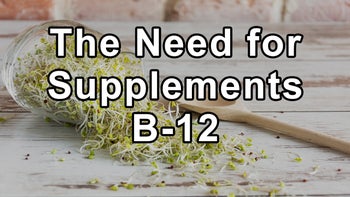 The Need for Supplements Like B-12 and Probiotics and the Importance of Prebiotic Foods for Feeding Gut Bacteria, Fruit Feeding Yeast/Mold/Fungus, Problems With Most Available Oils