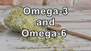 Ratio of Omega-3 and Omega-6 Oils, Olive Oil, Sprouting Sunflower Seeds, Sprouting, Detecting Rancid Oils
