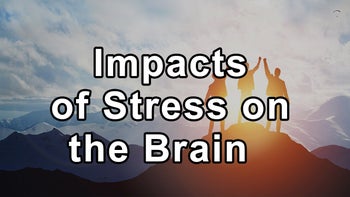 Impacts of Stress on the Brain and the Power of Mindfulness - Beth Frates M.D.