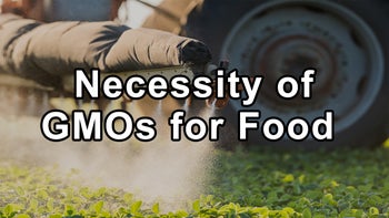 Questions and Answers With Stephanie Seneff, Ph.D. on Necessity of GMOs for Food Production, Organic Farming, and Glyphosate - Stephanie Seneff, Ph.D.